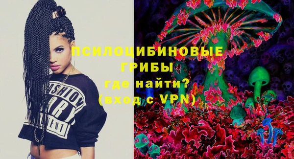 индика Алексеевка