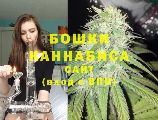 индика Алексеевка