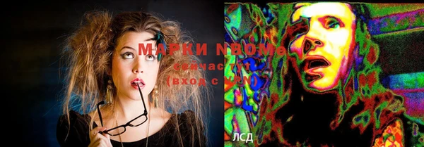 индика Алексеевка