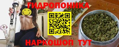 гашик Пыть-Ях