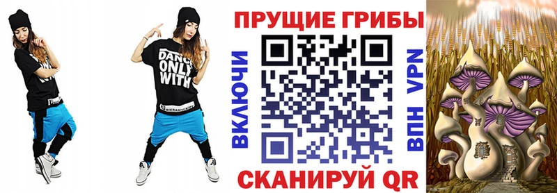 Галлюциногенные грибы мицелий  omg сайт  Новоуральск 