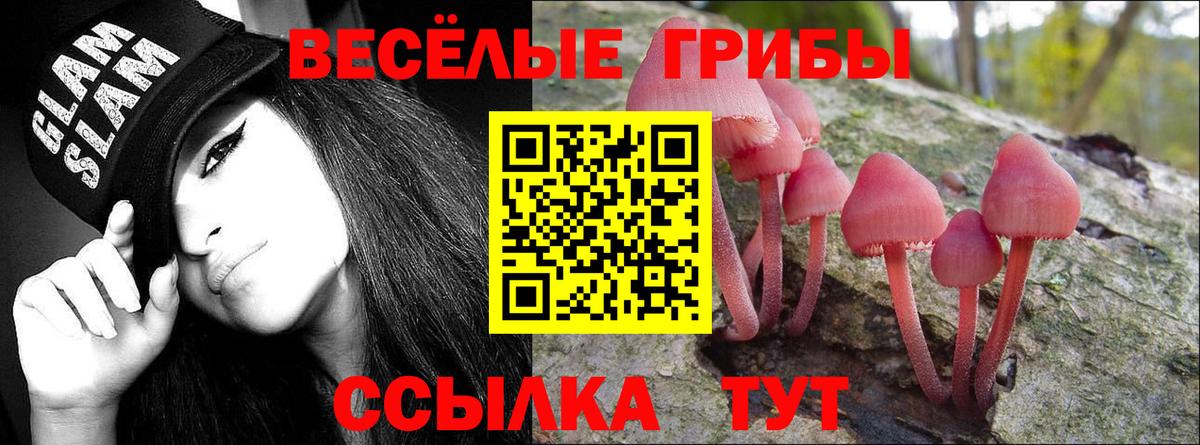 Галлюциногенные грибы прущие грибы Новоуральск