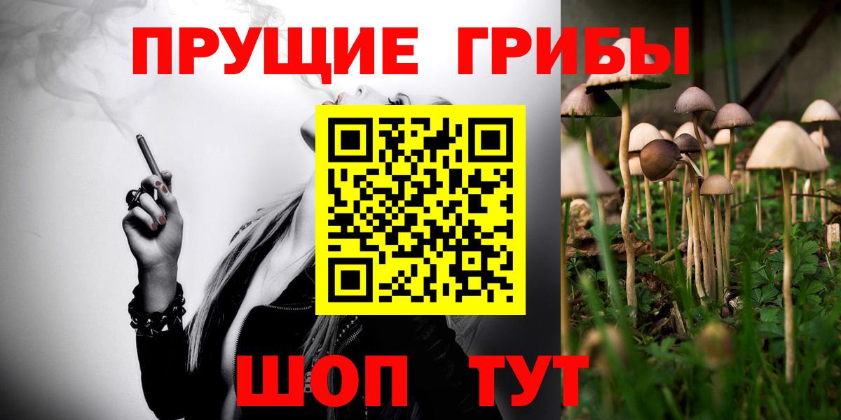 Новоуральск  Псилоцибиновые грибы MAGIC MUSHROOMS  Вход с VPN 
